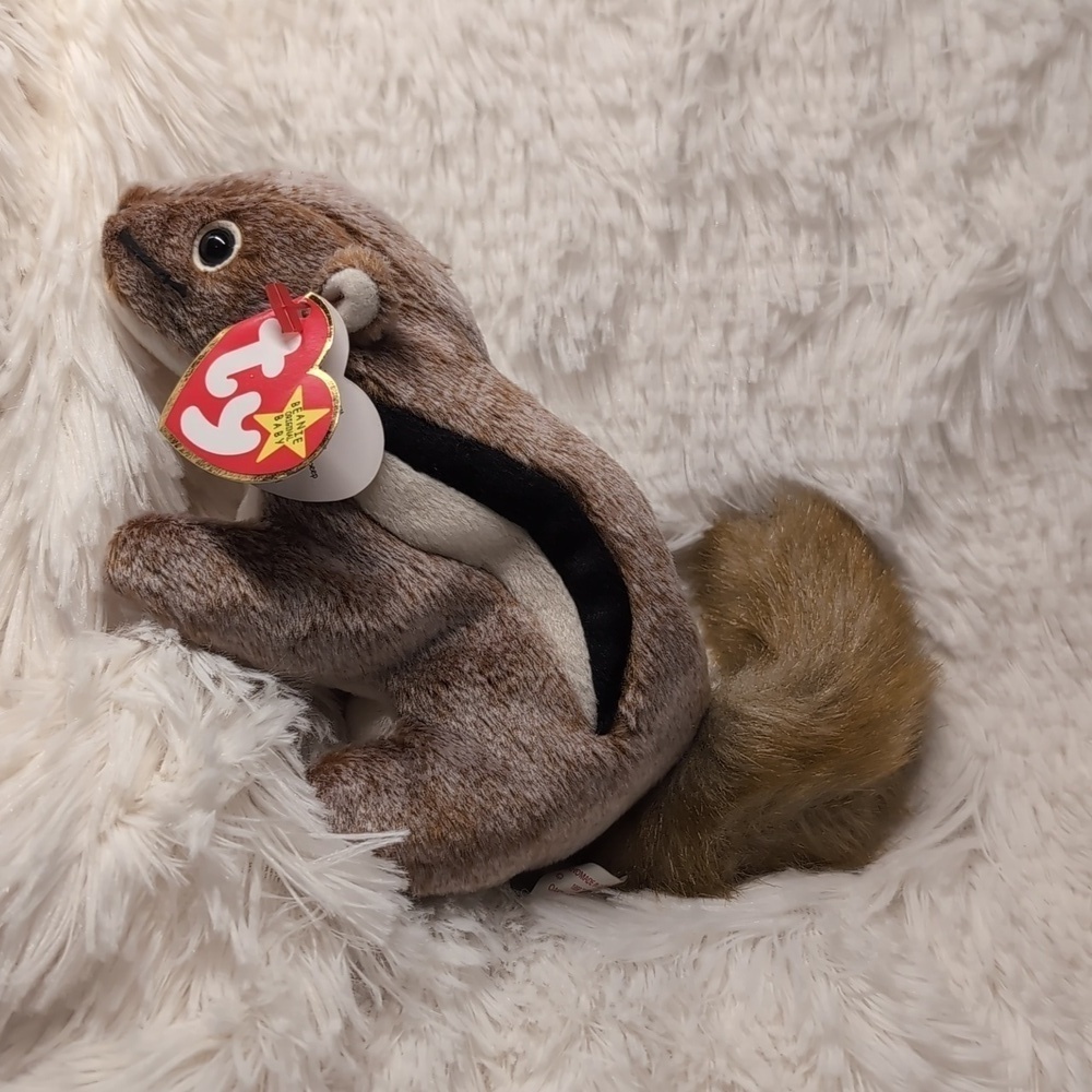 TY CHIPPER the Squirrel Beanie Baby 1999 Vintage Toy Collectible BD 4-21-99